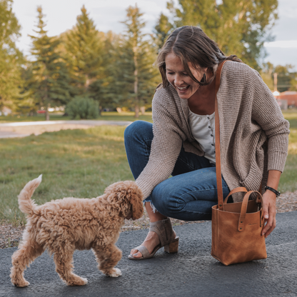 Rainier Mini Crossbody Tote