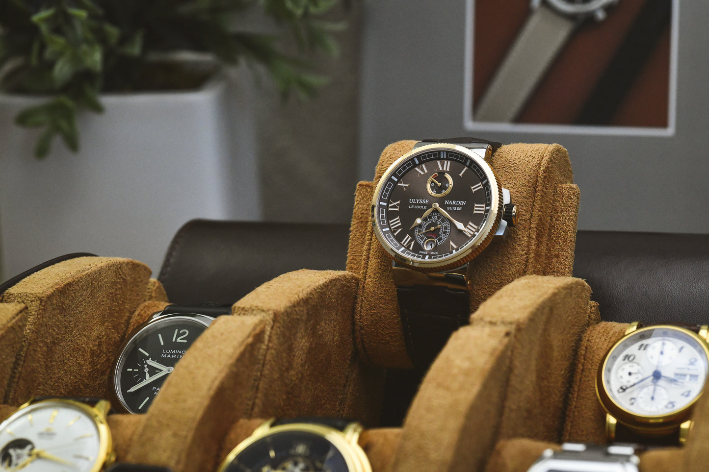 Close-up of luxury watch secured inside Espresso Brown suede-lined 6 watch travel organizer