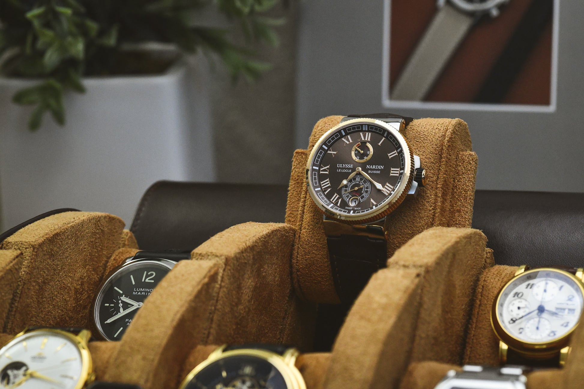 Close-up of luxury watch secured inside Espresso Brown suede-lined 6 watch travel organizer