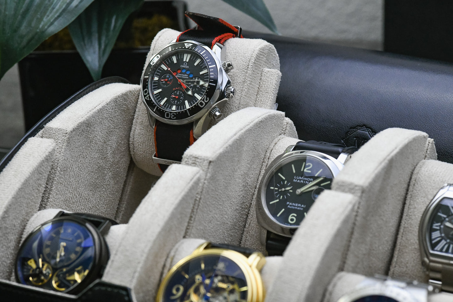 Close-up of luxury watches secured inside Jade Black 6 watch travel case with ivory white suede watch cushions